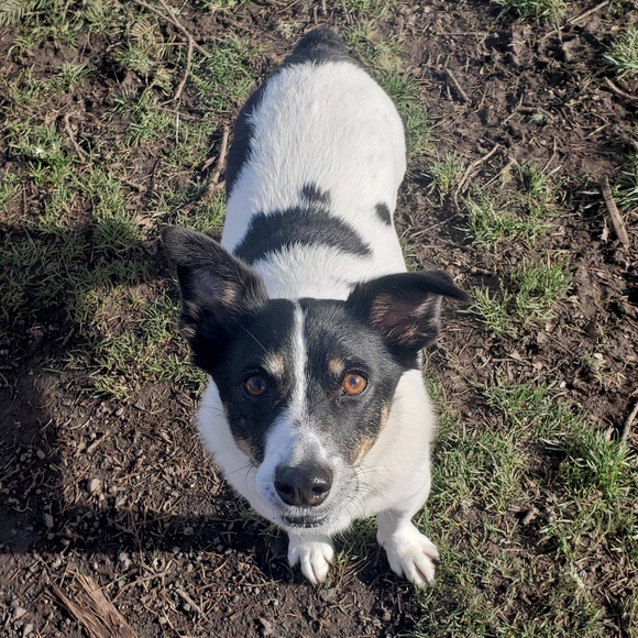 Meet your Posher, Mary - Picture 4 of 9